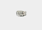 Dolphin & Friends Spiral