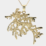 Leafy Seadragon