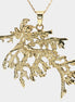 Leafy Seadragon