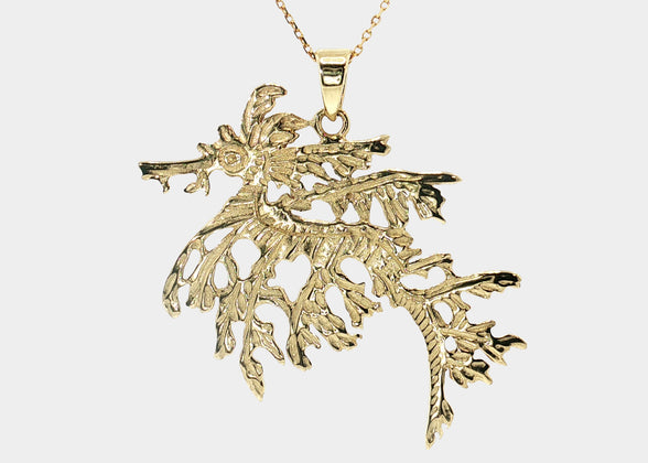 Leafy Seadragon