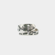 Whale Shark Fine Spiral