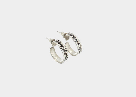 Dolphin Hoops