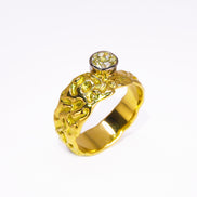 Golden Summers