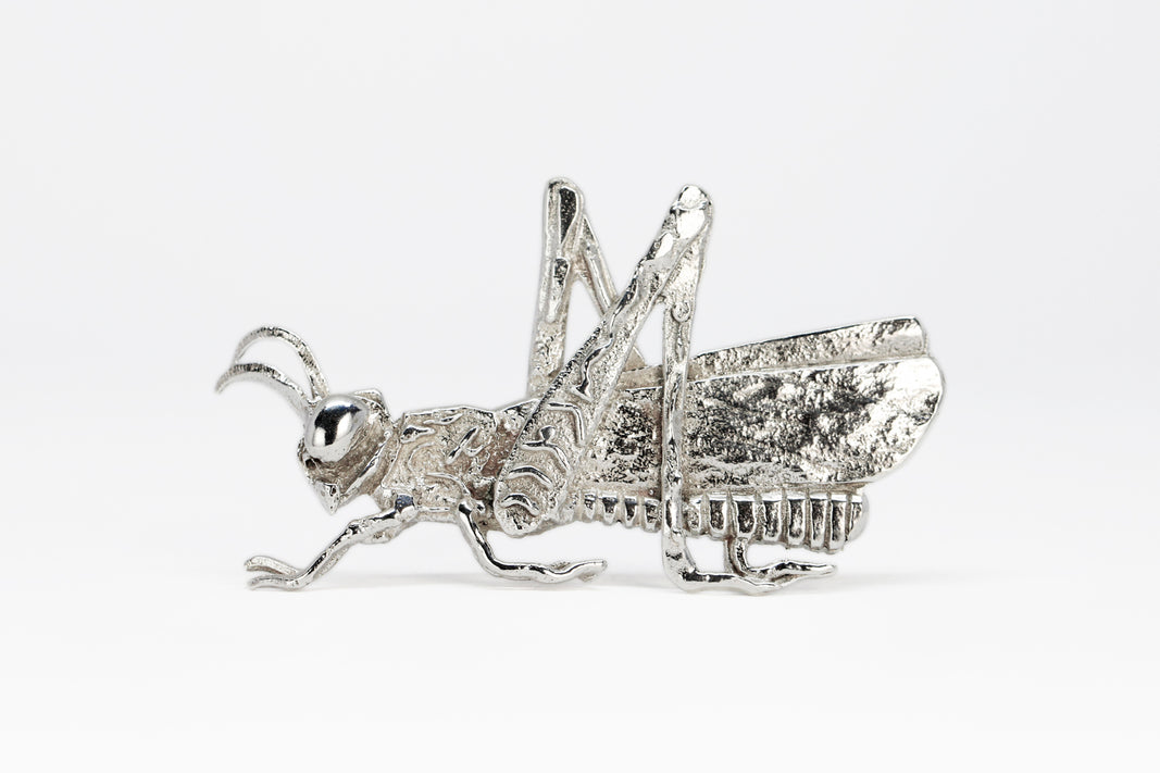 Hat Pin Cricket