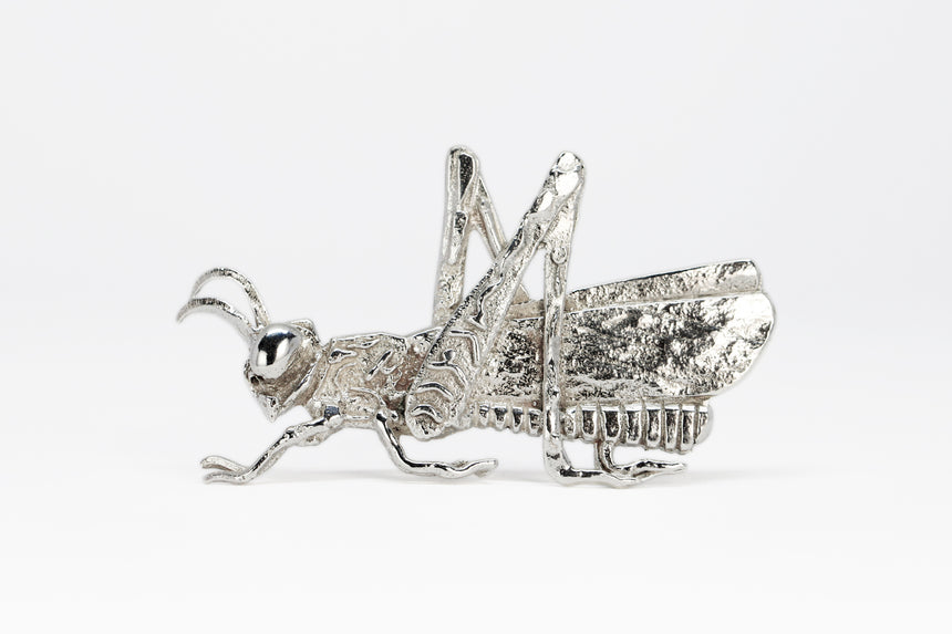 Hat Pin Cricket