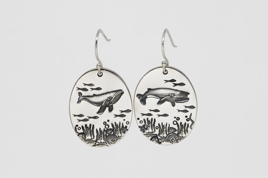 Oval Humpbacks