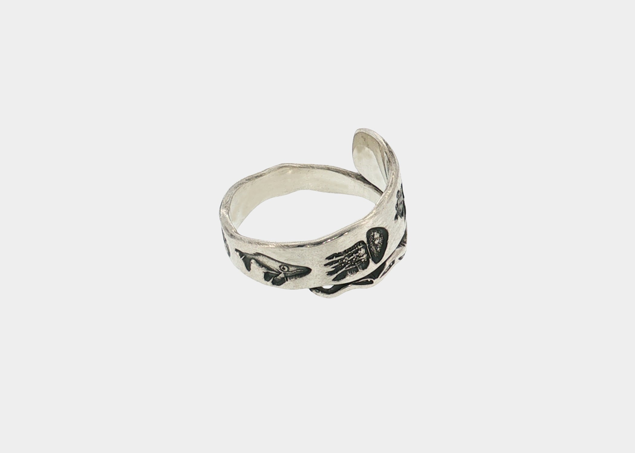 Shell Spiral