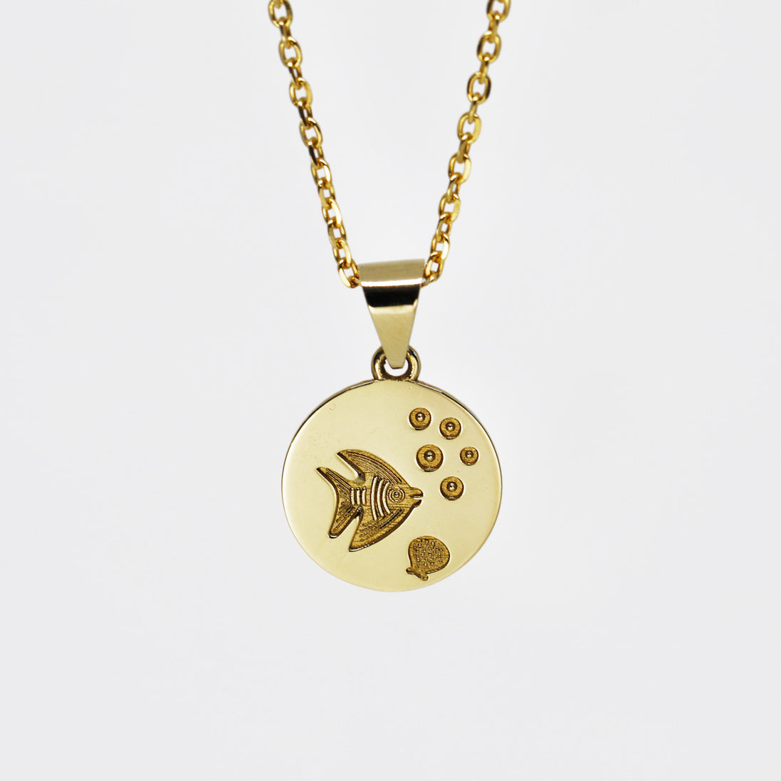 Golden Angel Fish