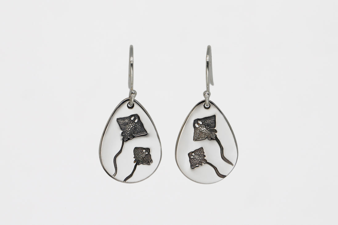 Stingray Teardrops