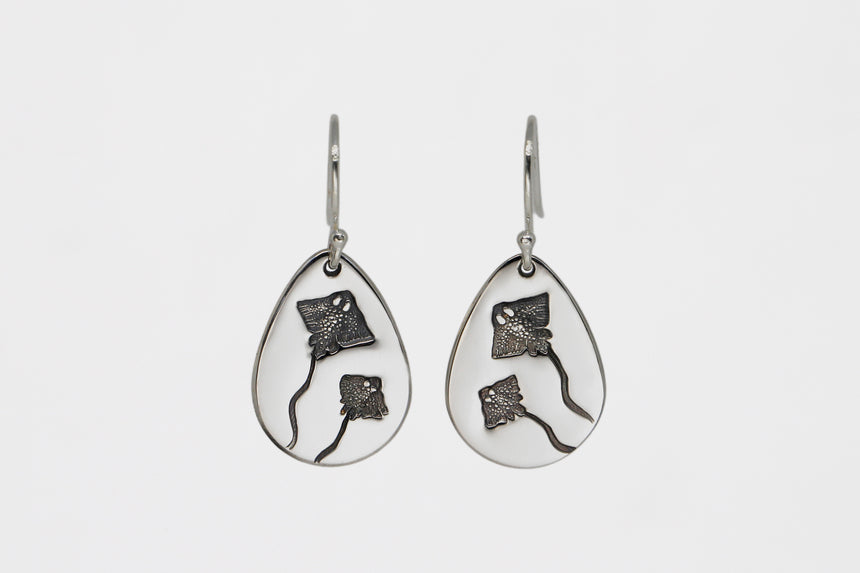 Stingray Teardrops