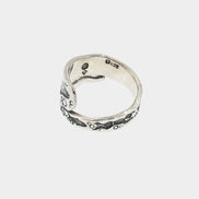 Whale Shark Spiral