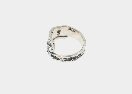 Whale Shark Spiral