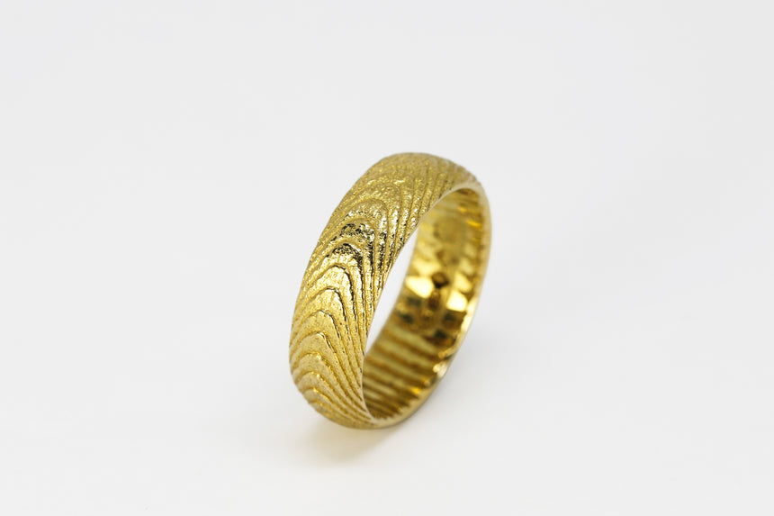 Yellow Gold Cuttlefish