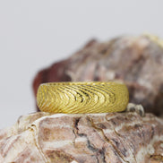 Yellow Gold Cuttlefish