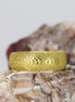 Yellow Gold Cuttlefish