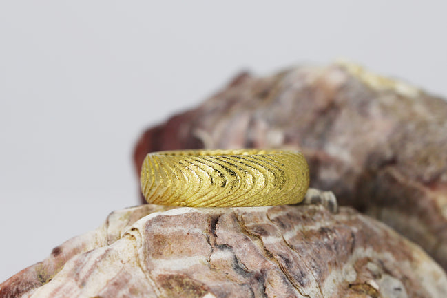 Yellow Gold Cuttlefish